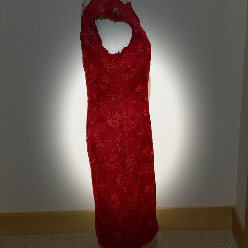 🔥NWT🔥 Cynthia Steffé "Ruby" Dress - Size 6✨✨✨ - Picture 9 of 16